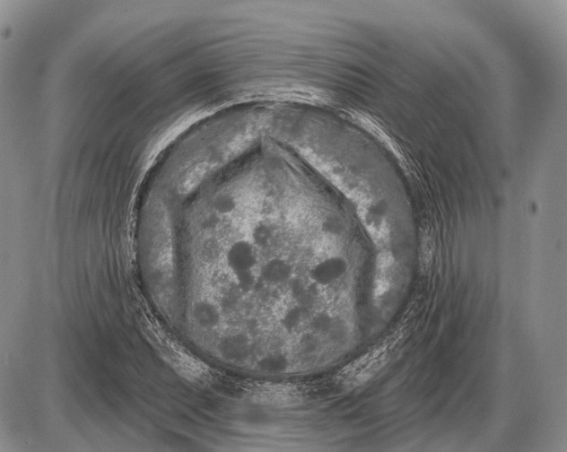 X0000085001071200703191044