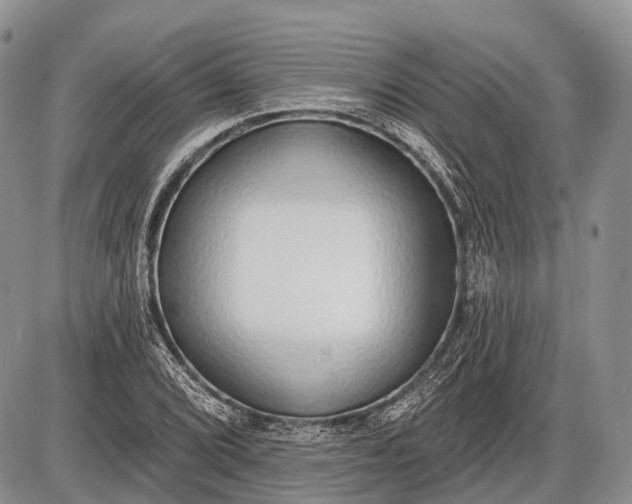 X0000085001072200703191044