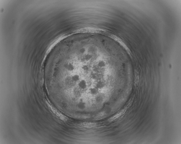 X0000085001075200703191044