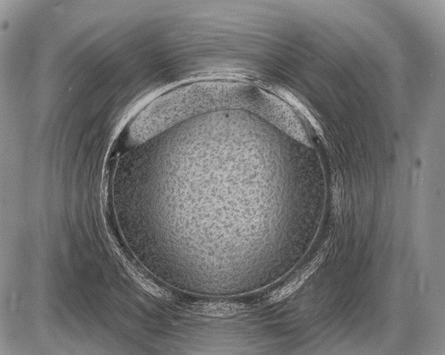 X0000085001077200703191044