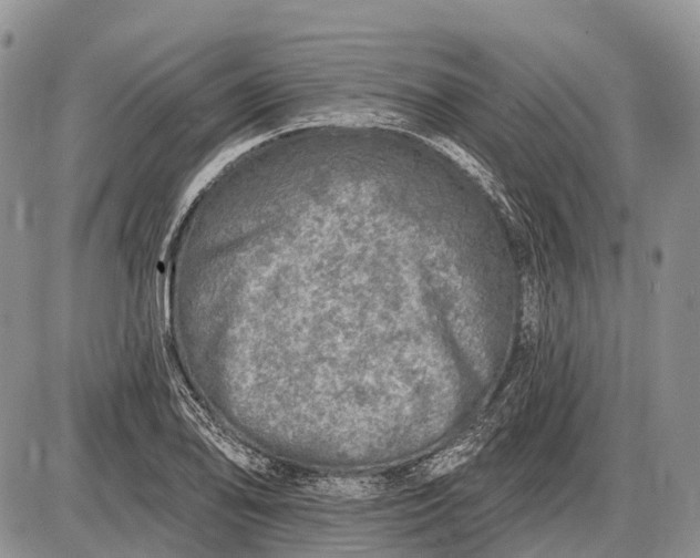 X0000085001078200703191044