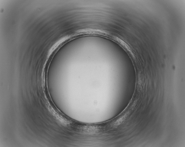 X0000085001082200703191044