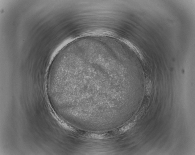 X0000085001086200703191044