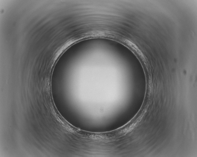 X0000085001089200703191043