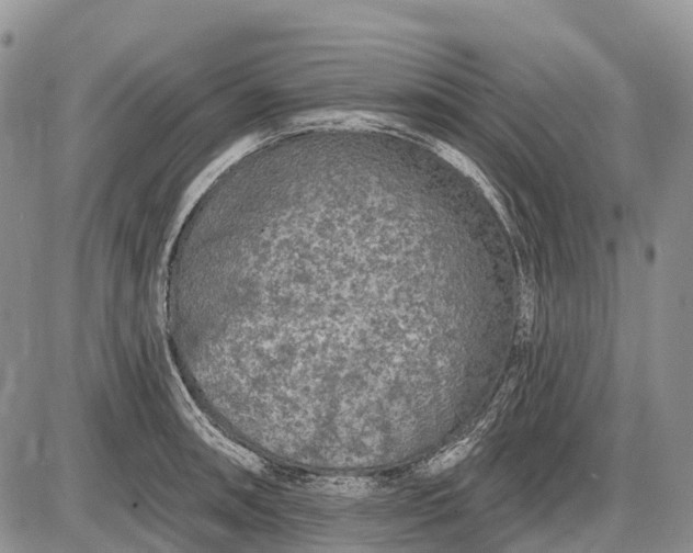 X0000085001090200703191043