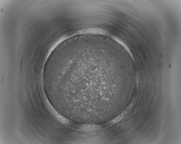 X0000085001091200703191043