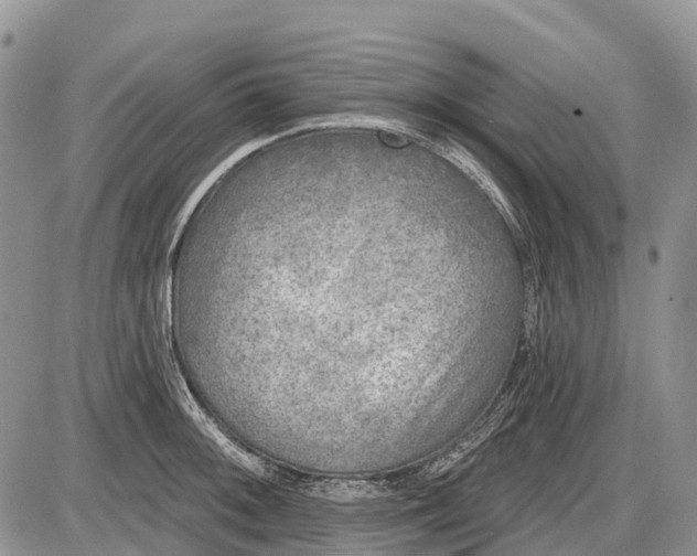 X0000085001092200703191043