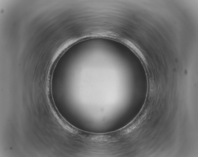 X0000085001093200703191043