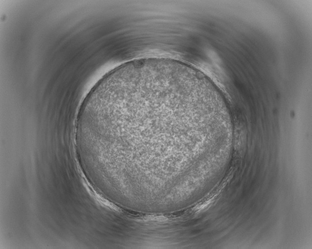 X0000085001094200703191043