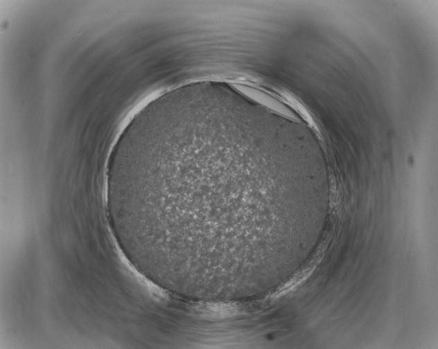 X0000085001095200703191043