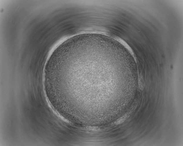 X0000085001096200703191043