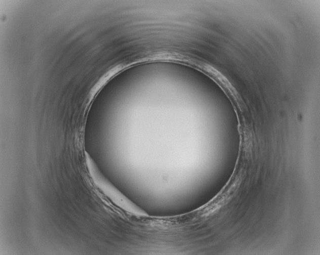 X0000085001097200703191043