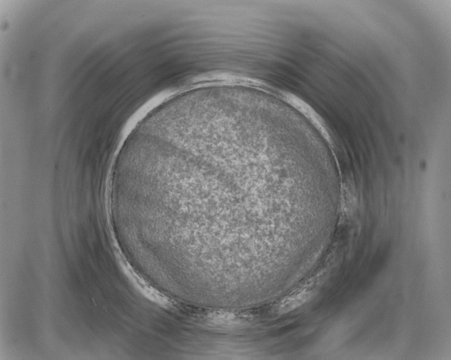 X0000085001098200703191043