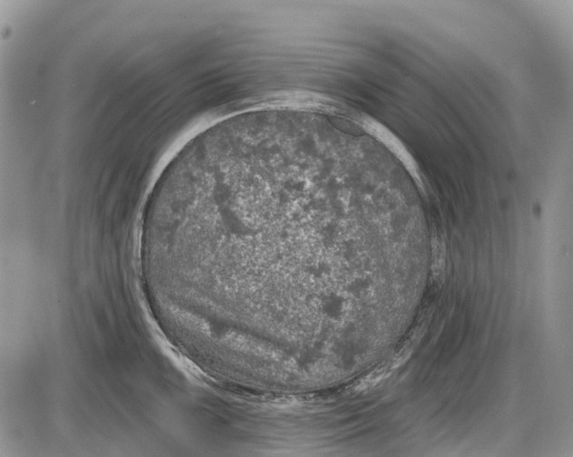 X0000085001099200703191043