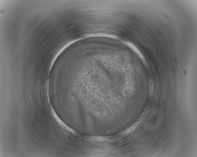 X0000085001100200703191043