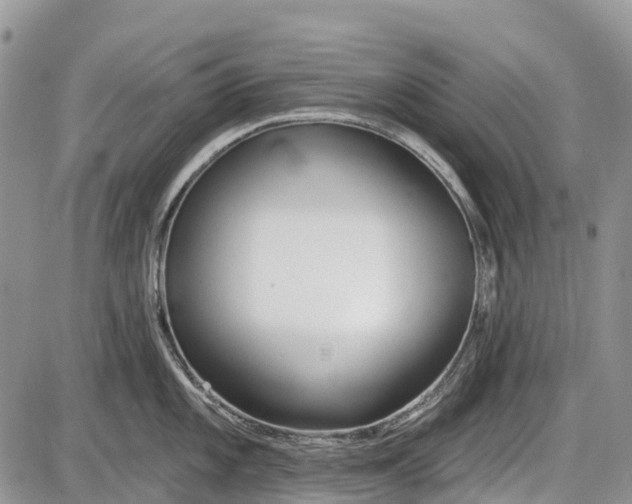 X0000085001101200703191043