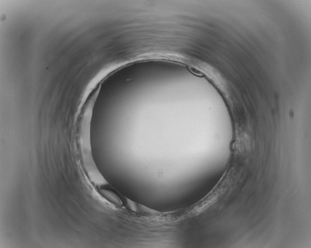 X0000085001102200703191043