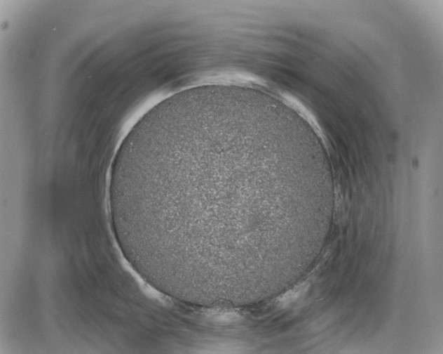 X0000085001103200703191043