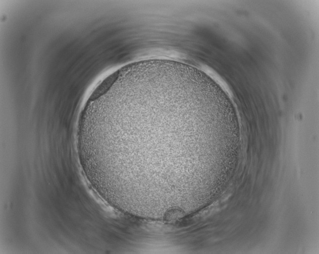 X0000085001104200703191043