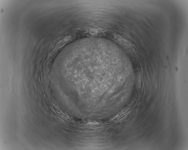 X0000085001105200703191042