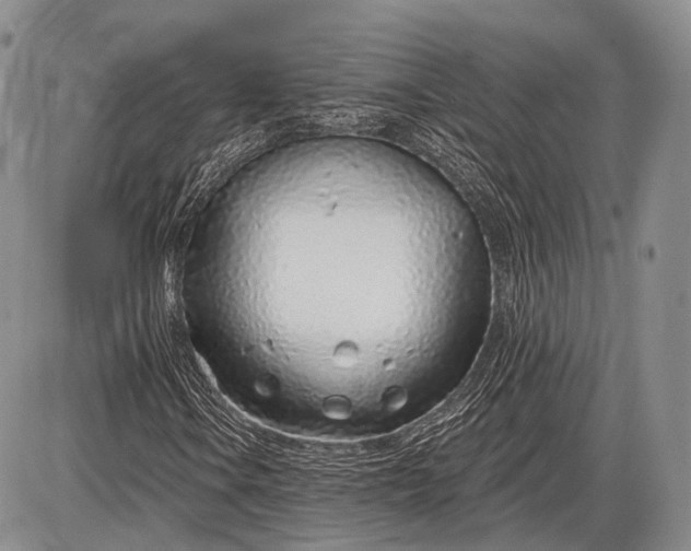 X0000085001106200703191042