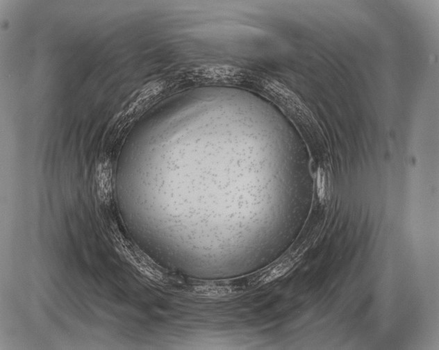 X0000085001107200703191042