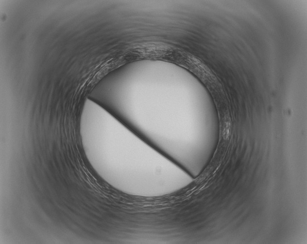 X0000085001108200703191043