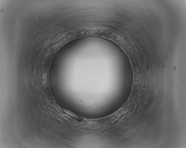 X0000085001109200703191043