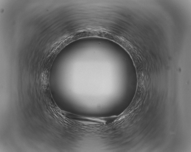 X0000085001110200703191043