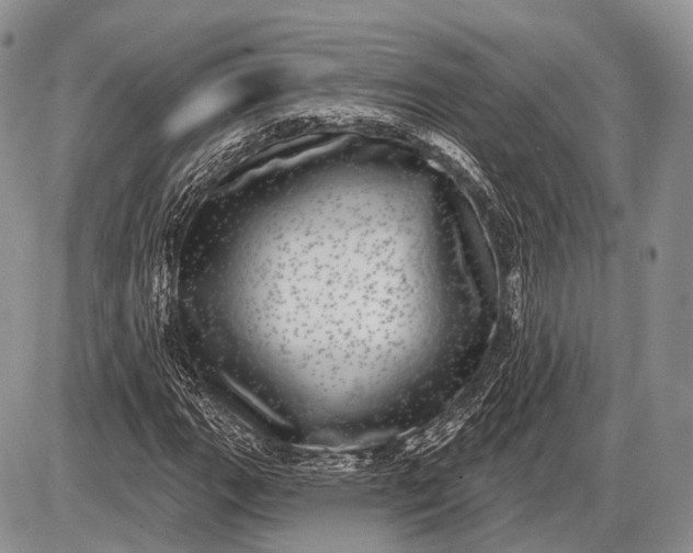 X0000085001111200703191043