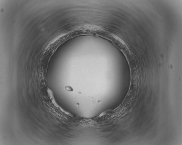 X0000085001112200703191043