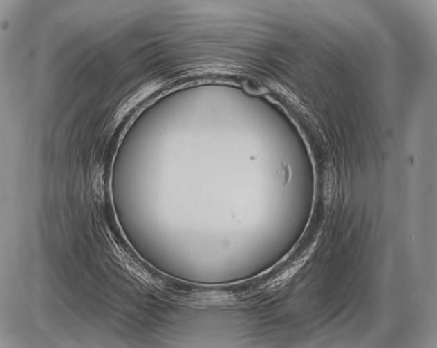 X0000085001113200703191043