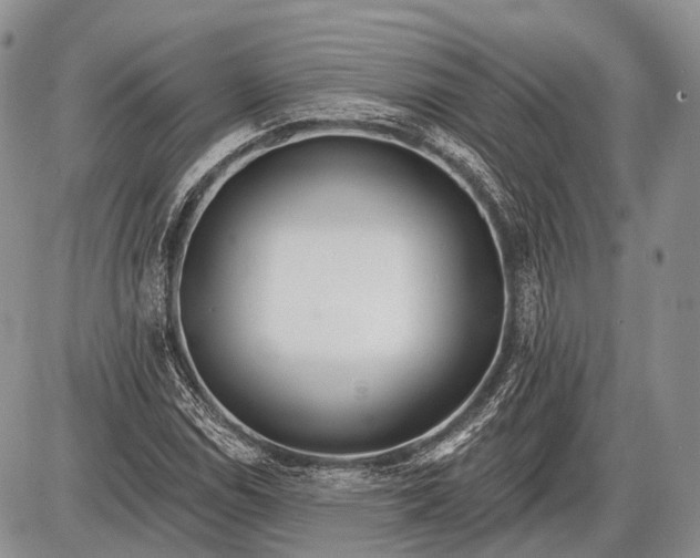 X0000085001114200703191043