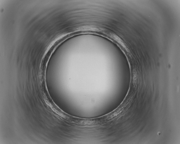 X0000085001116200703191043