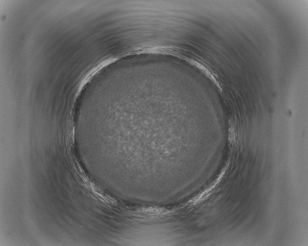 X0000085001117200703191043