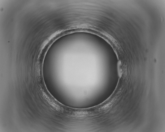 X0000085001118200703191043