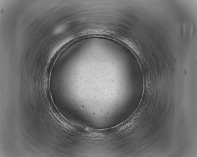 X0000085001119200703191043