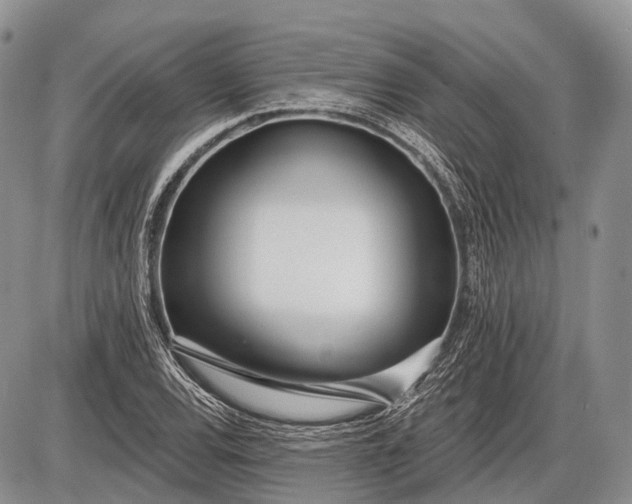 X0000085001120200703191043