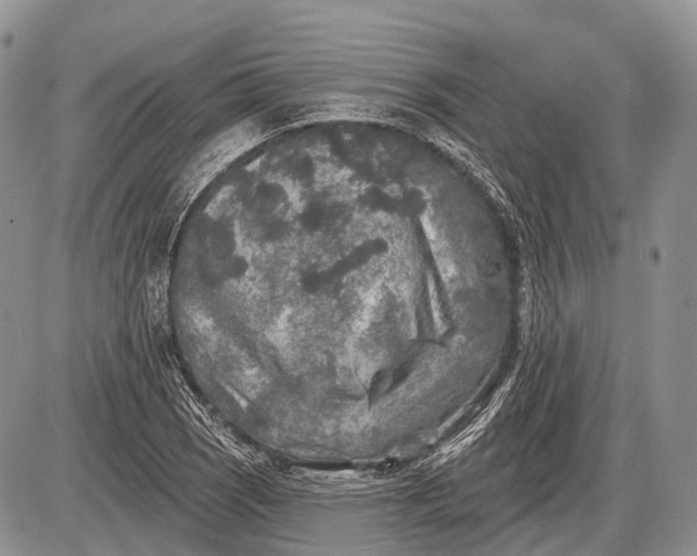 X0000085001121200703191043