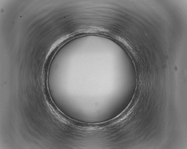 X0000085001122200703191043