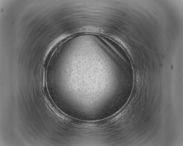 X0000085001123200703191043