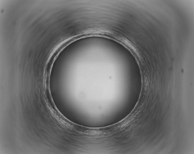 X0000085001124200703191043