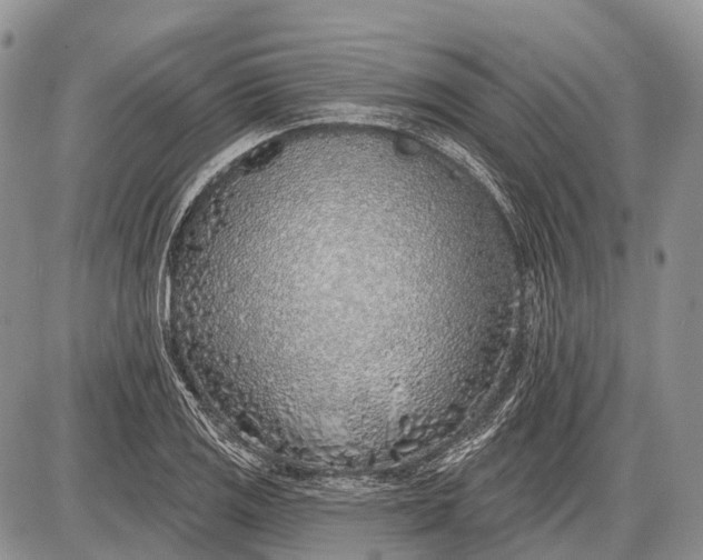 X0000085001125200703191043