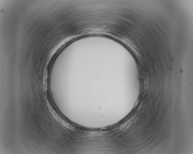 X0000085001126200703191043