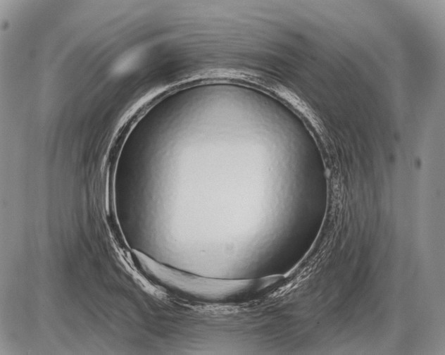 X0000085001127200703191043