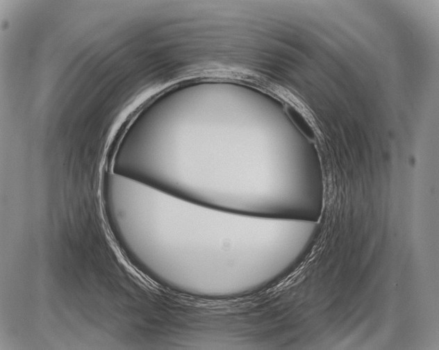 X0000085001128200703191043