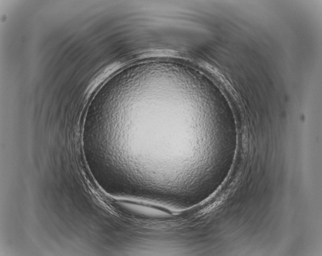 X0000085001129200703191043