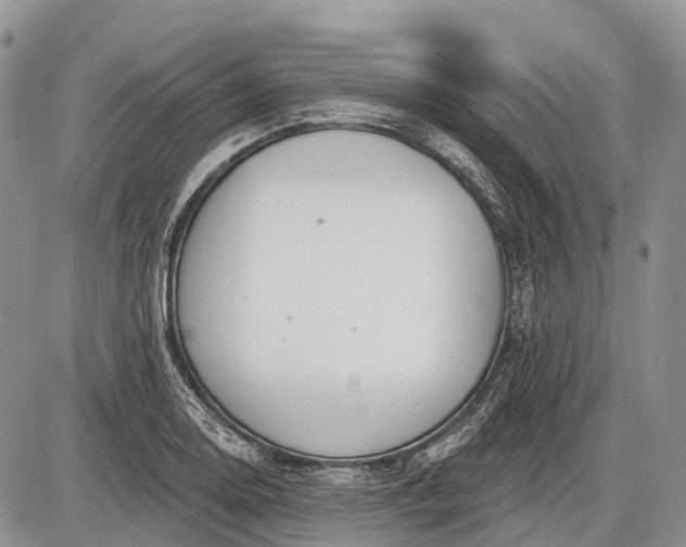 X0000085001130200703191043