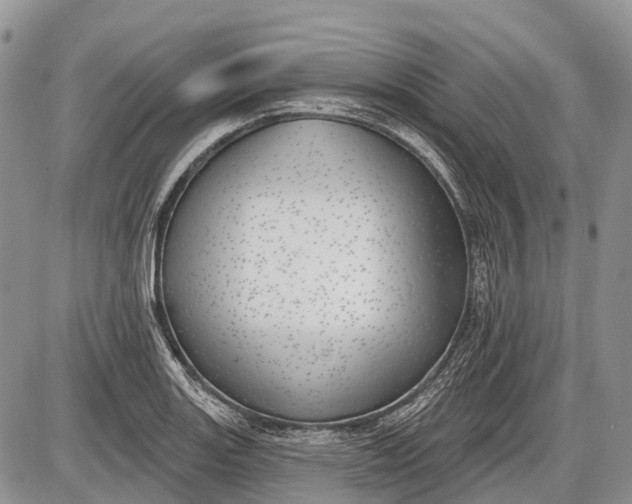 X0000085001131200703191043