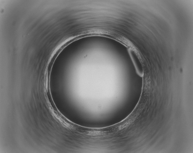 X0000085001132200703191043